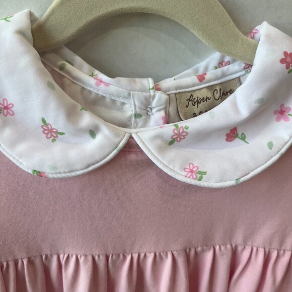 Girl - 3T - Aspen Claire & Company Pink Floral Dress & Jumper Set - Picture 2 of 10